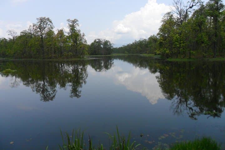 Chitwan Jungle Adventure: Multi-Day Rhino, Tiger & Tharu Village Safari