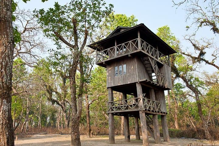 Chitwan Jungle Adventure: Multi-Day Rhino, Tiger & Tharu Village Safari photo 4