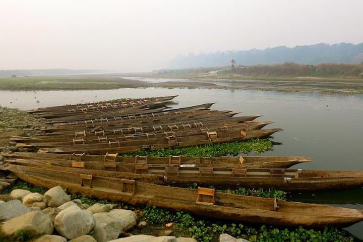 Chitwan Jungle Adventure: Multi-Day Rhino, Tiger & Tharu Village Safari photo 6