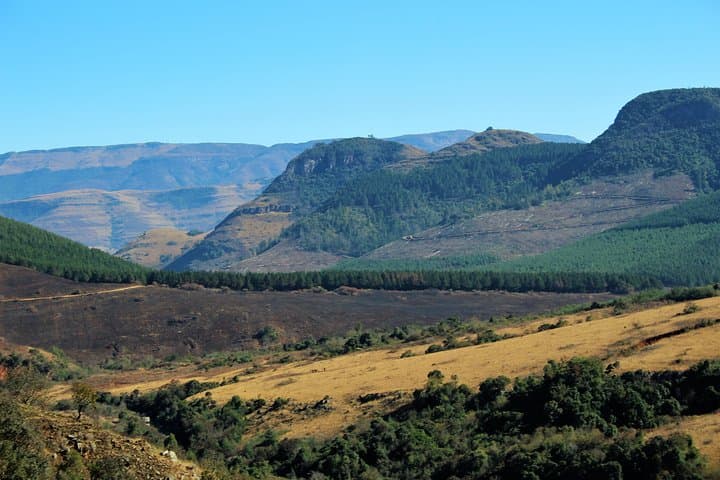 Half-Day Panorama: God's Window, Blyde River Canyon & Waterfall Loop from Hazyview photo 4