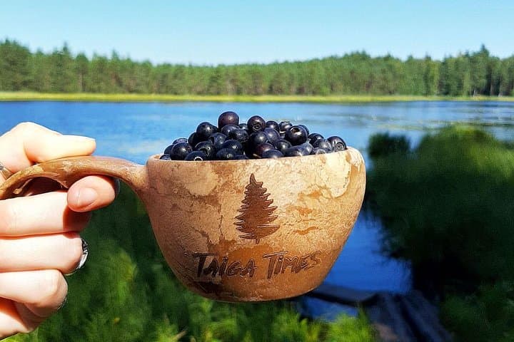 Forage the Taiga: Berry Picking Day Trip to Liesjärvi National Park