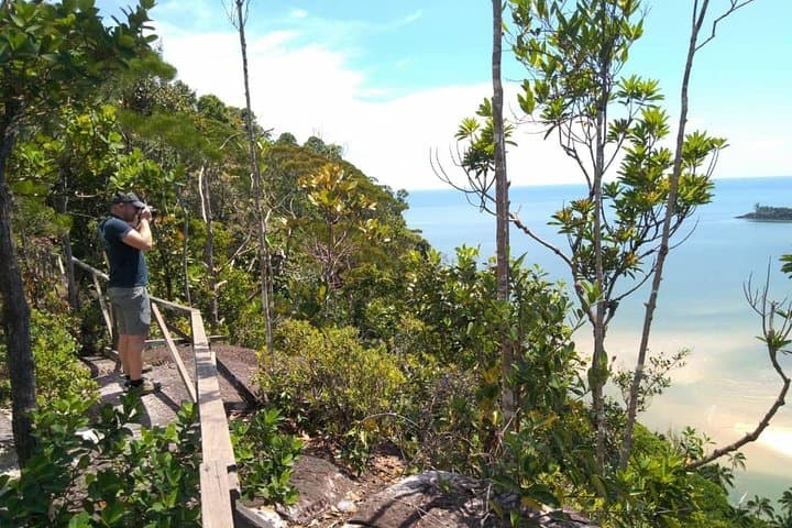 Bako National Park Day Tour — Proboscis Monkeys, Sea Stacks & Borneo Rainforest photo 5