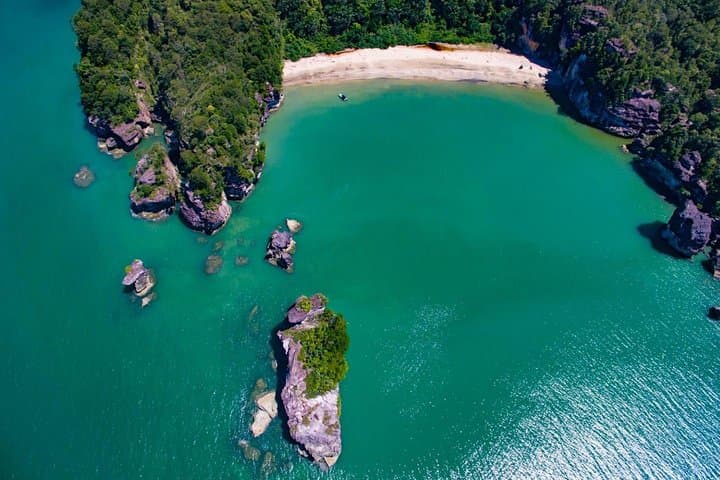 Bako National Park Day Tour — Proboscis Monkeys, Sea Stacks & Borneo Rainforest photo 3