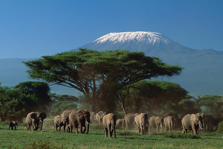 Budget 5-Day Tanzania Safari: Tarangire, Serengeti, Ngorongoro & Lake Manyara photo 6