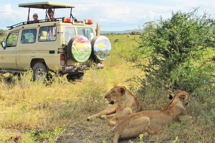 6-Day Private Lodge Safari: Northern Circuit — Serengeti, Ngorongoro & Tarangire