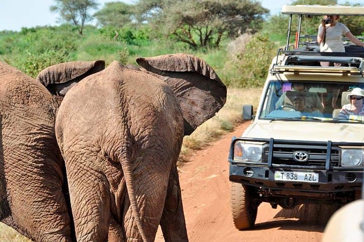 6-Day Private Lodge Safari: Northern Circuit — Serengeti, Ngorongoro & Tarangire photo 5