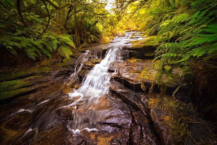 Private Blue Mountains Day Tour: Scenic World, Echo Point & Featherdale Wildlife photo 5