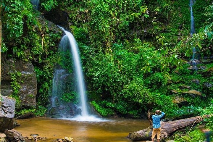 Morning Trek and Temple Visit: Doi Suthep Hike from Chiang Mai