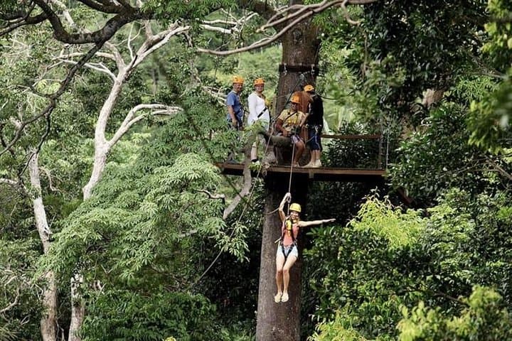 Fly the Phuket Canopy: Flying Hanuman Treetop Zipline Adventure photo 4