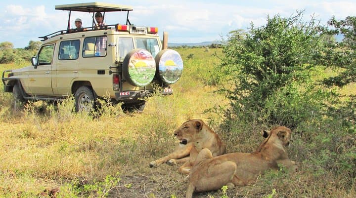 2-Day Private Safari in Tarangire & Maasai Village — Arusha Wildlife and Culture photo 6