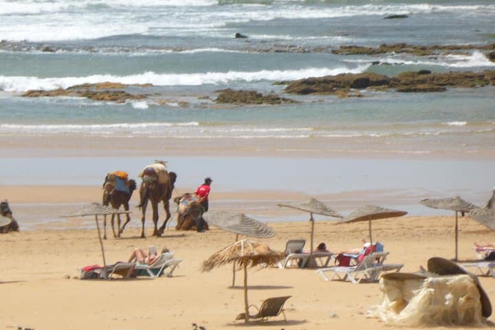 Oualidia Day Trip from Marrakech — Lagoon Beaches, Oysters & Coastal Adventures
