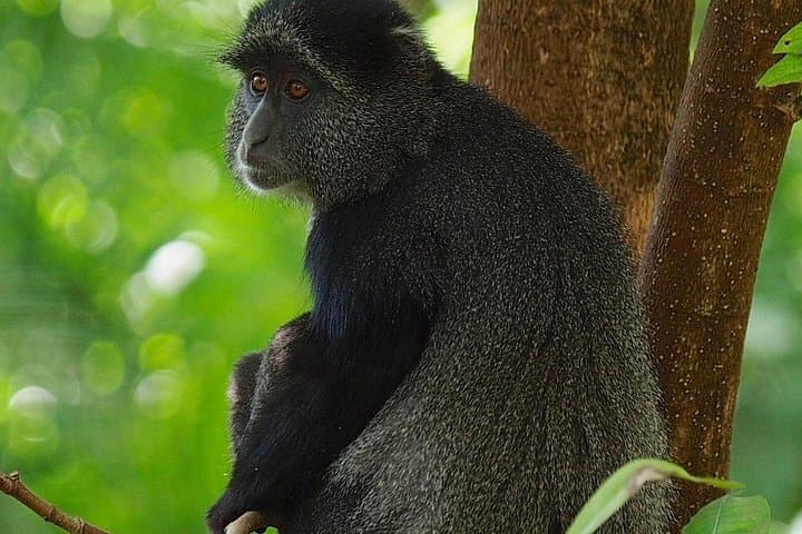 2-Day Private Safari: Ngorongoro Crater & Tarangire National Park photo 2