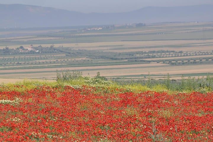 Mount Zalagh Hiking Day Trip from Fez — Atlas Trails, Berber Lunch & Sunset Views photo 3