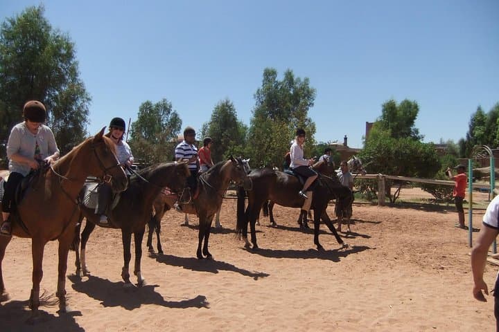Palmeraie Horse Ride in Marrakesh: Half-Day Guided Equestrian Tour photo 2