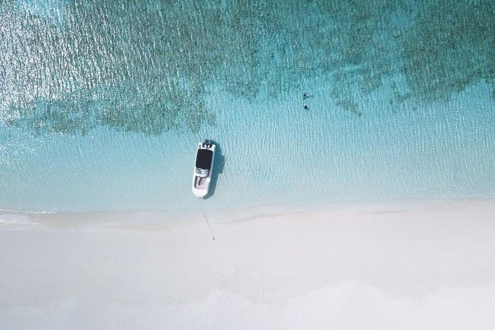 Private Boat Tours from Providenciales: Snorkel, Swim with Dolphins & Visit Iguana Island photo 3