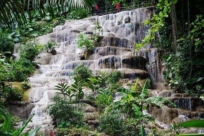 Explore Konoko Falls: Waterfall and Botanical Garden Tour from Falmouth