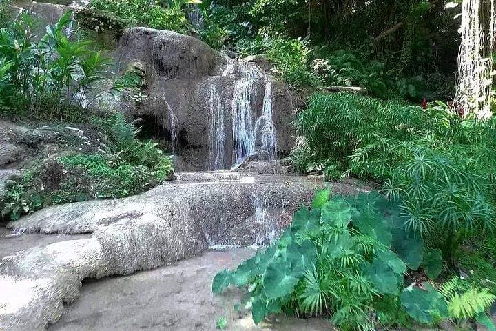 Konoko Falls & Gardens Tour from Montego Bay — Ocho Rios Waterfall and Botanical Garden Visit photo 3