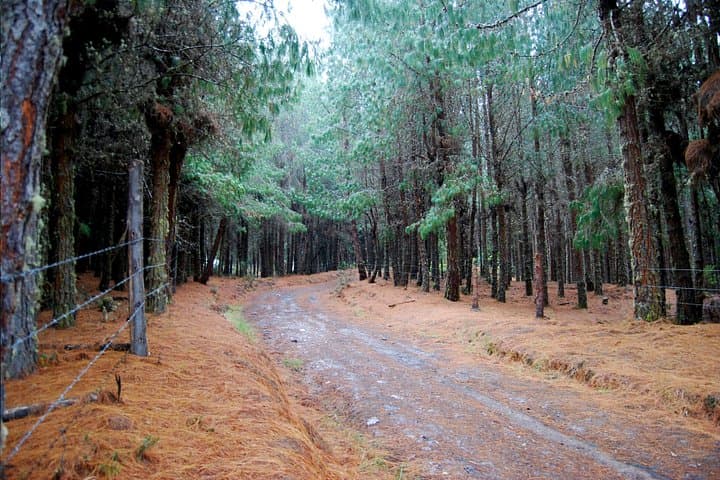 Hike Chingaza National Park: Private 8-Hour Moor & Laguna Tour from Bogotá photo 3