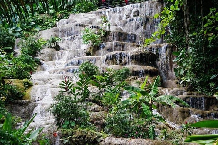 Konoko Falls & Gardens: Ocho Rios Waterfall, Koi Ponds & River Walk (From Kingston)