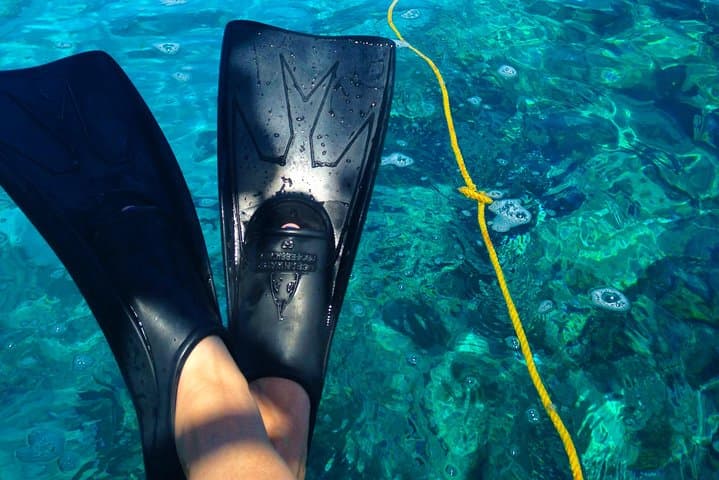 Key West Reef Snorkel & Sail Adventure — Afternoon Sail to the Florida Reef photo 4
