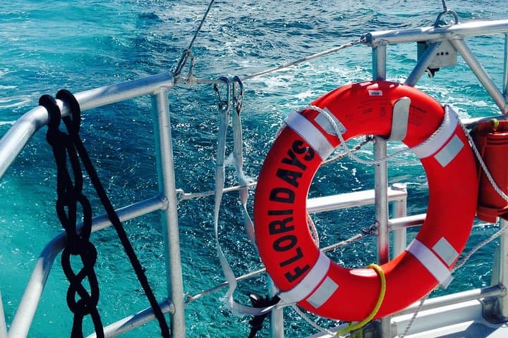 Key West Reef Snorkel & Sail Adventure — Afternoon Sail to the Florida Reef photo 5