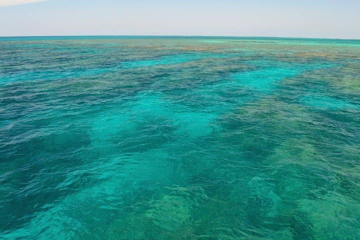 Key West Reef Snorkel & Sail Adventure — Afternoon Sail to the Florida Reef photo 6