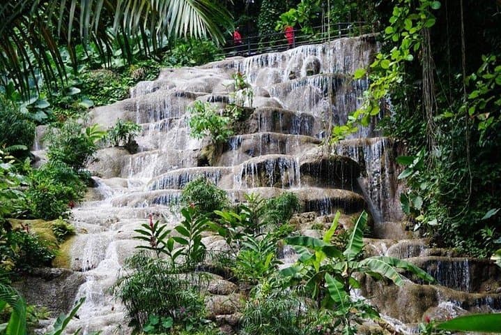 Konoko Falls & Gardens Tour from Montego Bay — Ocho Rios Waterfall and Botanical Garden Visit