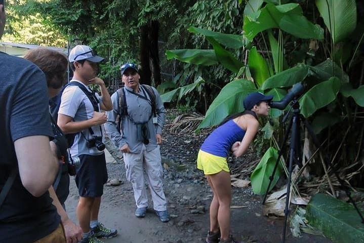 Carara National Park Birdwatching: Private Guided Tour from Quepos photo 4