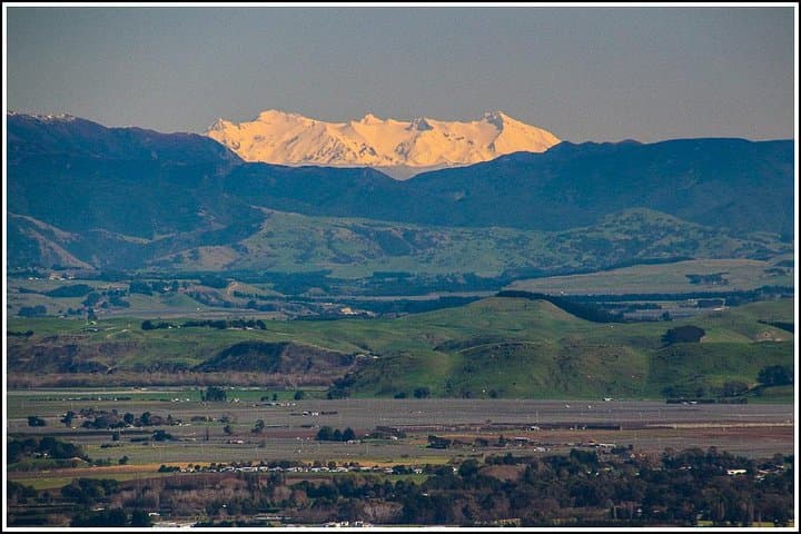 Napier Art Deco & Te Mata Peak: 4-Hour Hawke's Bay Shore Excursion