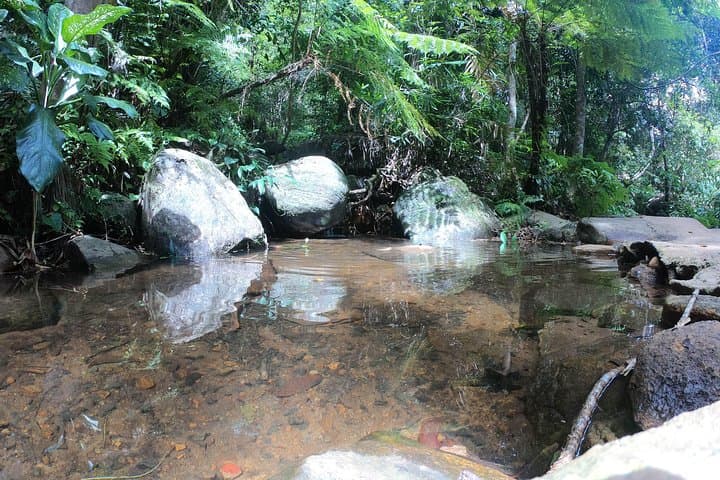 Full-Day Sinharaja Rainforest Adventure to Kekuna Ella & Pathan Oya photo 3