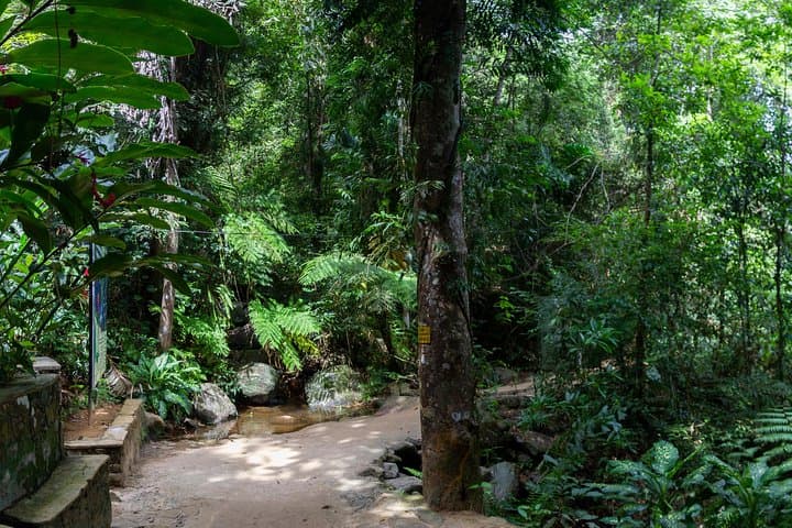 Full-Day Sinharaja Rainforest Adventure to Kekuna Ella & Pathan Oya photo 4