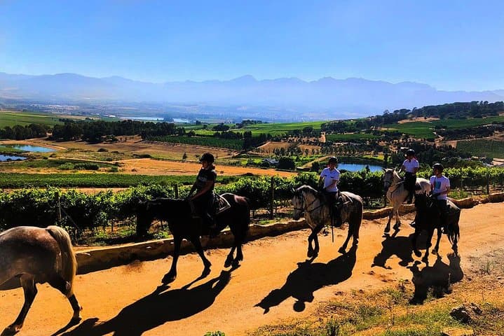 1-Hour Horse Trail at Vrede en Lust — Simonsberg Wine Estate Ride photo 3