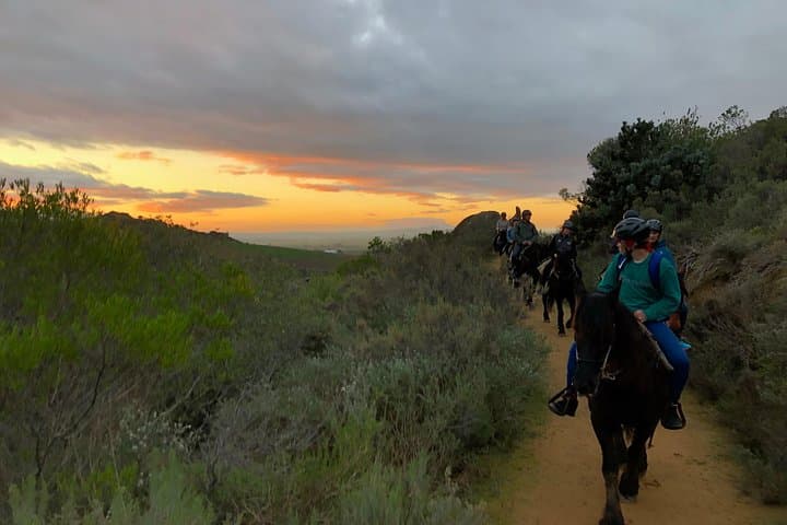 1-Hour Horse Trail at Vrede en Lust — Simonsberg Wine Estate Ride photo 6
