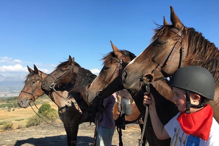Moonlight Horse Trail in Franschhoek Wine Valley — Evening Ride at Vrede en Lust photo 4