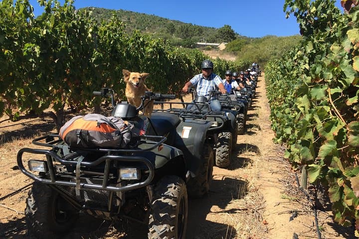 Nature Quad Trail at Vrede en Lust: 2-Hour ATV Ride Through Simonsberg Foothills