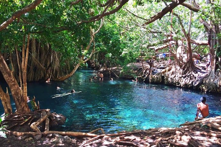 Chemka (Kikuletwa) Hot Springs: A Day Trip from Moshi to Swim in Geothermal Pools photo 2