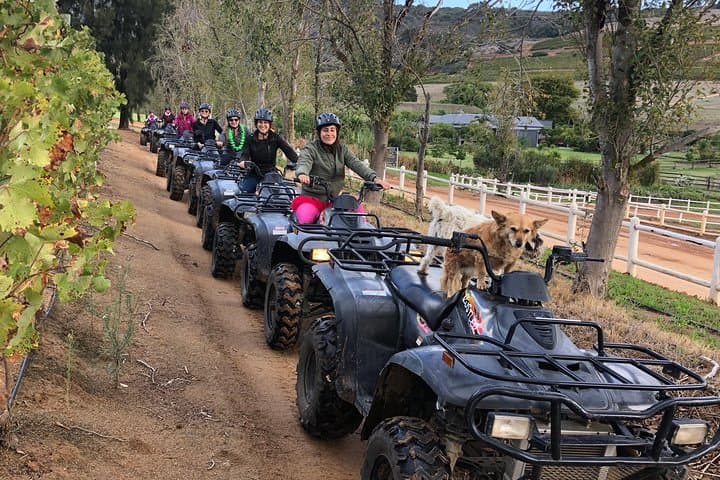 Vrede en Lust Nature Quad Trail — 1.5-Hour ATV in the Simonsberg Foothills photo 6