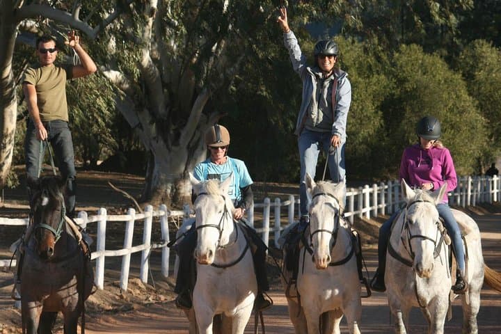2-Hour Horse Trail on Paarl Mountain — Wine Valley Adventures in Stellenbosch Winelands photo 3