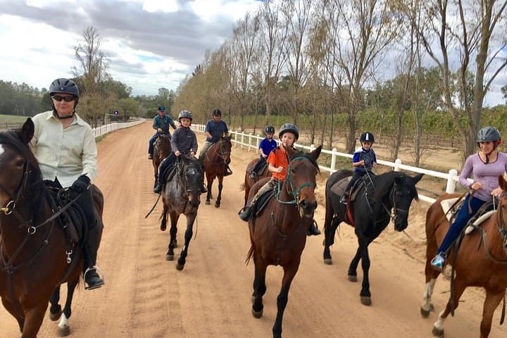 2-Hour Horse Trail on Paarl Mountain — Wine Valley Adventures in Stellenbosch Winelands photo 4