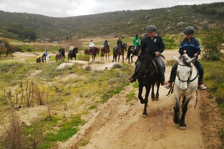 Paarl Full-Day Wine Tasting Horse Trail — Ride the Cape Winelands photo 6