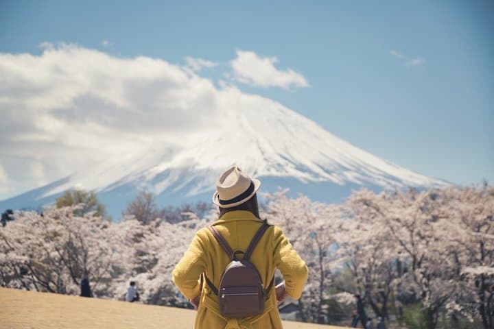 Mt. Fuji & Hakone Private Day Tour from Tokyo — 10-Hour Customizable Drive, Ropeway & Lake Ashi Cruise