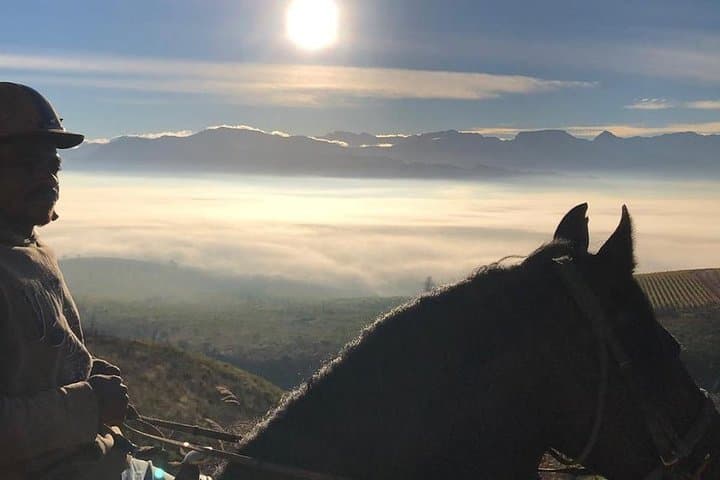 Moonlight Horse Trail in Franschhoek Wine Valley — Evening Ride at Vrede en Lust photo 2