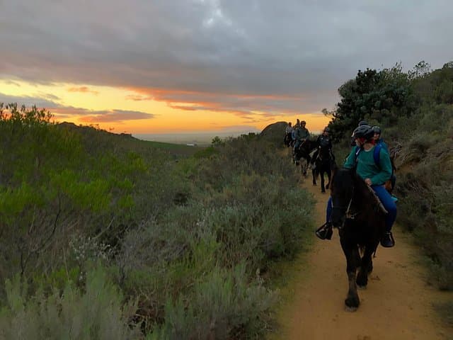 Moonlight Horse Trail in Franschhoek Wine Valley — Evening Ride at Vrede en Lust photo 3