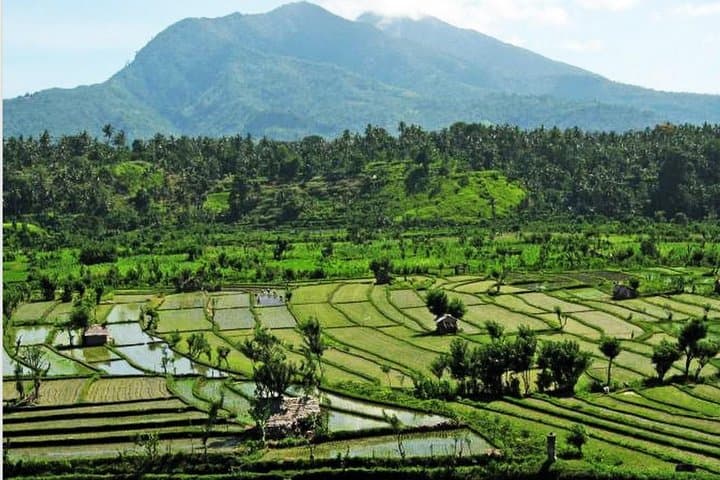 Ubud Heaven Gate, Whitewater Rafting & Jungle Swing Day Tour photo 4