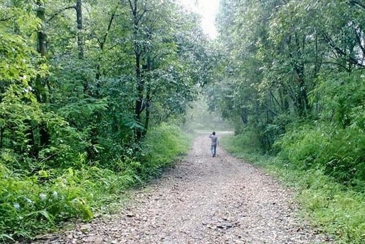 Phulchoki Bird-Watching Hike: Kathmandu’s High-Elevation Birding & Rhododendron Trails photo 2