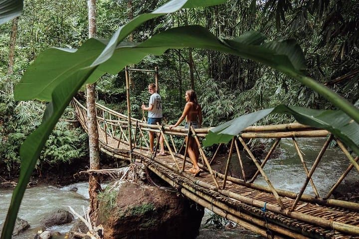Best of North Bali: Leke-Leke Waterfall, Handara Gate & Ulun Danu Day Tour photo 4