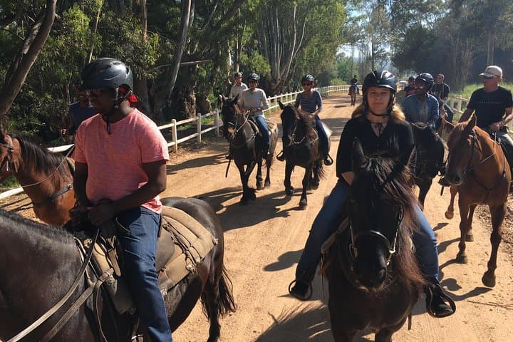Half-Day Horseback Wine Trail in Franschhoek — Ride the Drakenstein Vines photo 5