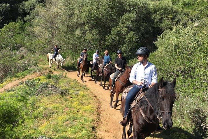 Half-Day Horseback Wine Trail in Franschhoek — Ride the Drakenstein Vines photo 6