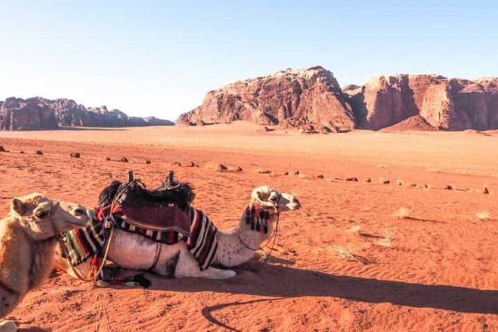 5-Hour Desert Quad Bike Safari with Camel Ride & Bedouin Dinner near Hurghada photo 4