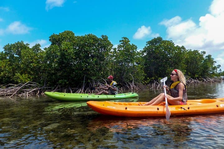 Kosi Bay Kayaking: Paddle the Pristine Mangrove Channels of South Africa
